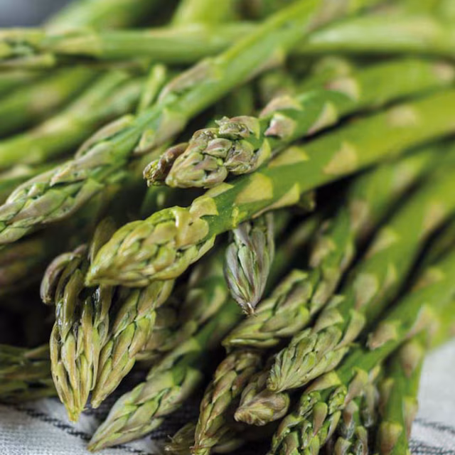 Asparagus 'Gijnlim'